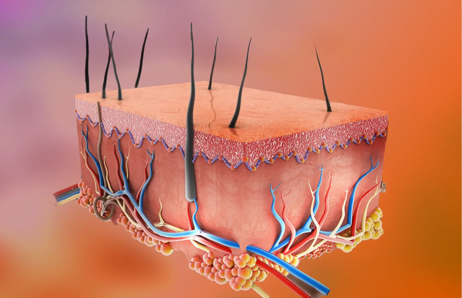 Dermatology and Other Inflammation and Autoimmunity (IAI)