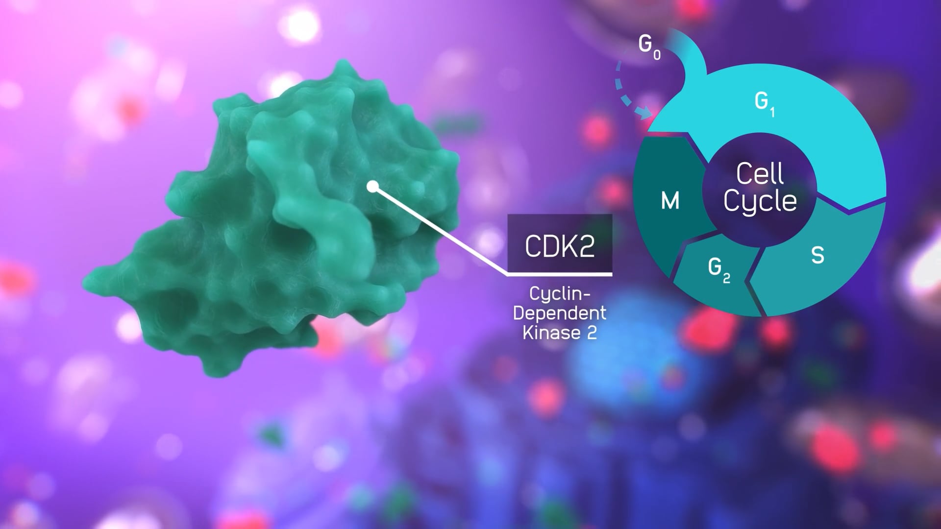 INCB123667 | Incyte Medical Information